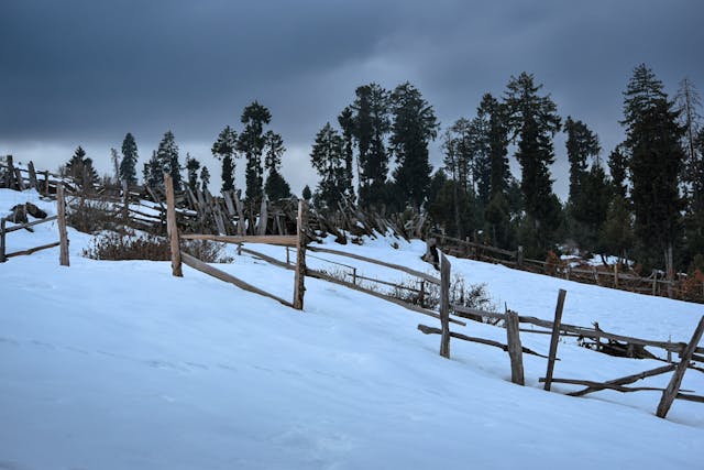 Shangarh Weekend Trip - 2 Nights 3 Days